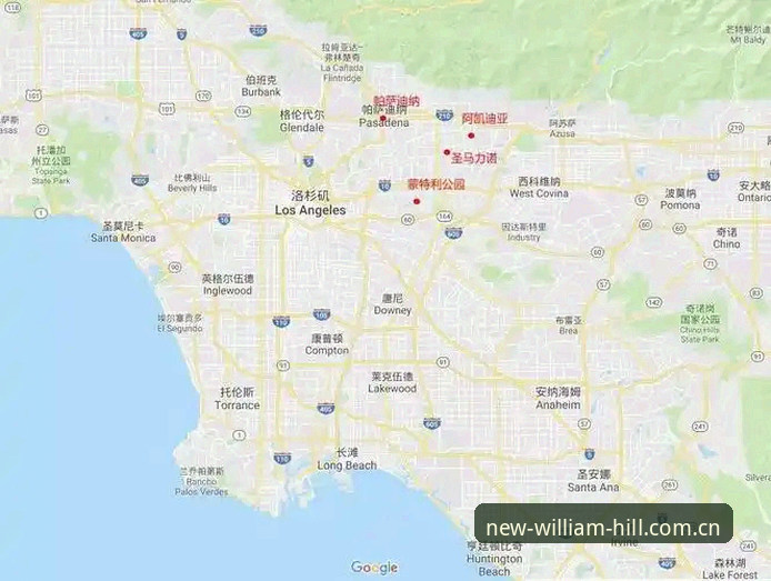海外华人查赛事数据，威廉希尔平台新版安全吗？