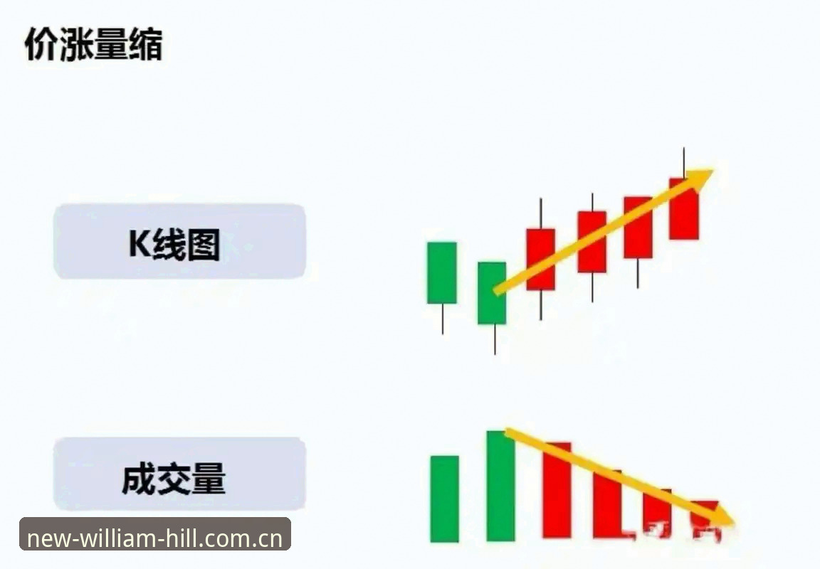海外华人WILLIAMHILL中国官方新版赛事数据哪个好 海外华人用威廉希尔平台看赛事数据?这份完整指南帮你一次搞懂
